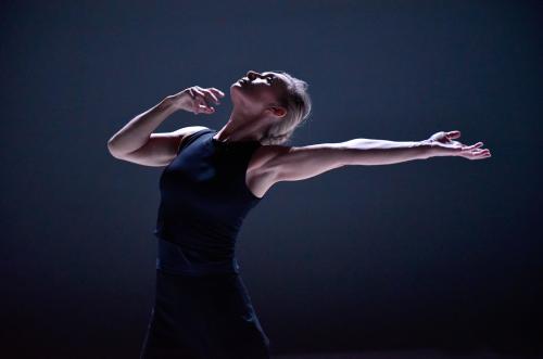 Photo cie michèle Noiret