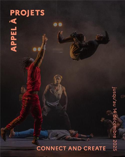 Affiche Appel à projets Connect and create 2025